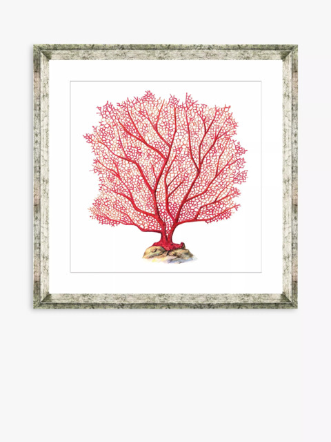 Brookpace Lascelles 'Red Coral 7' Framed Print & Mount, 46 x 46cm, Red - image 1
