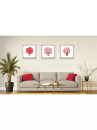 Brookpace Lascelles 'Red Coral 7' Framed Print & Mount, 46 x 46cm, Red - thumbnail 4