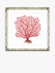 Brookpace Lascelles 'Red Coral 7' Framed Print & Mount, 46 x 46cm, Red - thumbnail 1