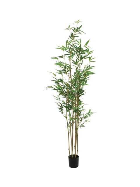Floralsilk Artificial Potted Bamboo Plant, 165cm, Green