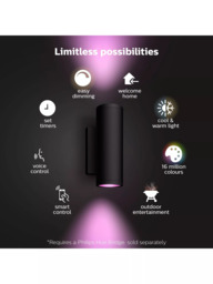 Philips Hue White and Colour Ambiance Appear LED Smart Outdoor Wall Light - thumbnail 2