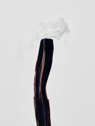 LOEWE Palo Santo Scented Candle - thumbnail 3