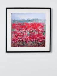 John Lewis Claire Oxley 'Poppies by the Dunes' Framed Print & Mount, 83 x 83cm, Red - thumbnail 1