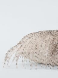 John Lewis Premium Ostrich Faux Fur Cushion, White - thumbnail 3