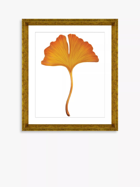 Brookpace Lascelles 'Ginkgo Leaf 3' Framed Print & Mount, 56 x 46cm, Orange - image 1