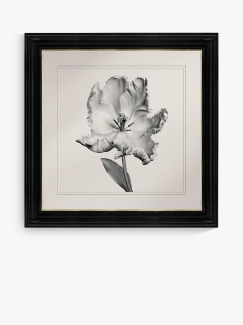 Brookpace Lascelles 'Tulip I' Framed Print, 59 x 49cm, Black/White - image 1