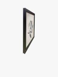 Brookpace Lascelles 'Tulip I' Framed Print, 59 x 49cm, Black/White - thumbnail 3