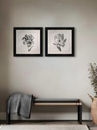 Brookpace Lascelles 'Tulip I' Framed Print, 59 x 49cm, Black/White - thumbnail 2