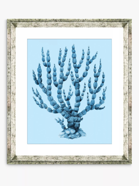 Brookpace Lascelles 'Blue Coral 6' Framed Print & Mount, 46 x 36cm, Blue - image 1