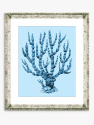 Brookpace Lascelles 'Blue Coral 6' Framed Print & Mount, 46 x 36cm, Blue