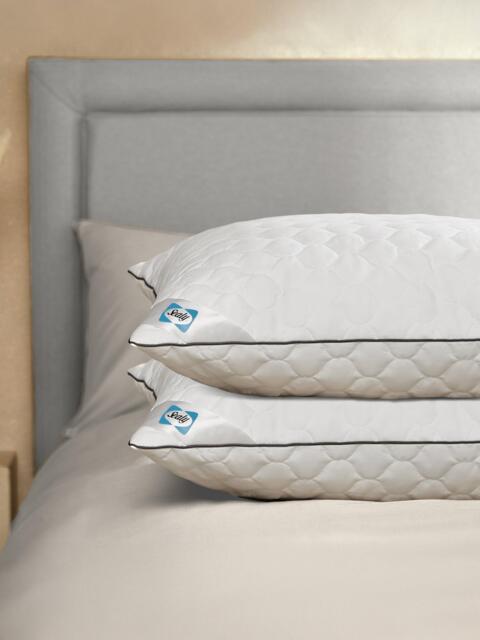Sealy Deeply Full Standard Pillow Pair, Medium/Firm - image 1