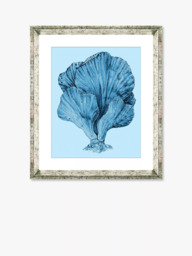 Brookpace Lascelles 'Blue Coral 3' Framed Print & Mount, 46 x 36cm, Blue - thumbnail 1