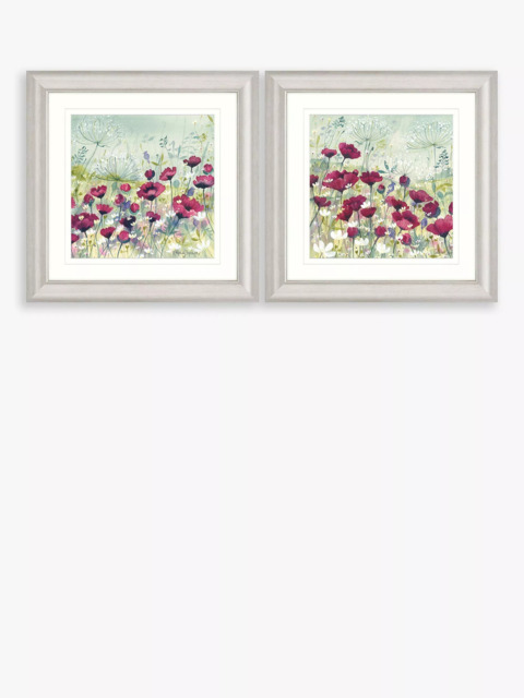 John Lewis Catherine Stephenson Poppy & Daisy Framed Print & Mount, Set of 2, 60.5 x 60.5cm, Red/Multi - image 1