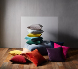 John Lewis Cotton Velvet Cushion - thumbnail 5