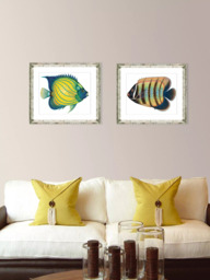 Brookpace Lascelles 'Tropical Fish 5' Framed Print & Mount, 36 x 46cm, Yellow/Multi - thumbnail 3