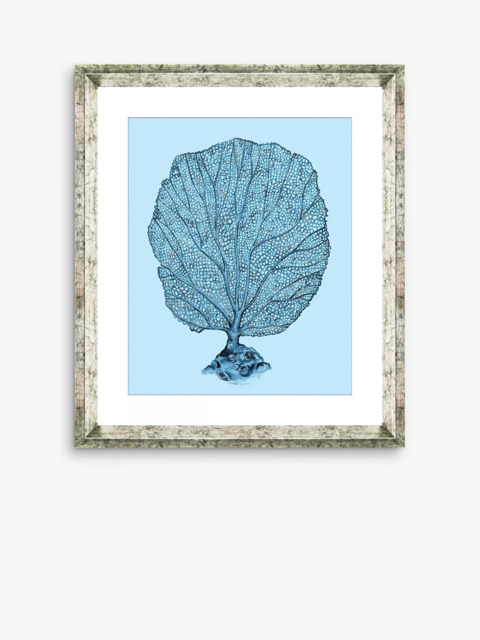 Brookpace Lascelles 'Blue Coral 1' Framed Print & Mount, 46 x 36cm, Blue - image 1