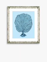 Brookpace Lascelles 'Blue Coral 1' Framed Print & Mount, 46 x 36cm, Blue - thumbnail 1
