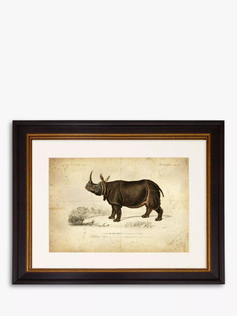 Brookpace Lascelles 'Rhinoceros' Framed Print & Mount, 46 x 55cm, Grey