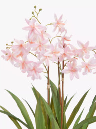 John Lewis Artificial Mini Orchid in Ceramic Pot - thumbnail 2