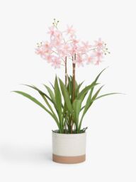 John Lewis Artificial Mini Orchid in Ceramic Pot