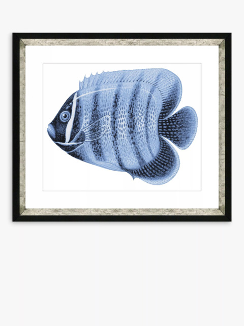 Brookpace Lascelles 'Blue Fish 3' Framed Print & Mount, 36 x 46cm, Blue - image 1