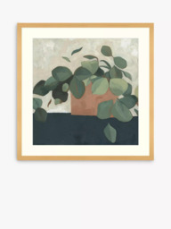 John Lewis Emma Scarvey 'Jade Hoya II' Framed Print & Mount, 73.5 x 73.5cm, Green/Multi - thumbnail 1