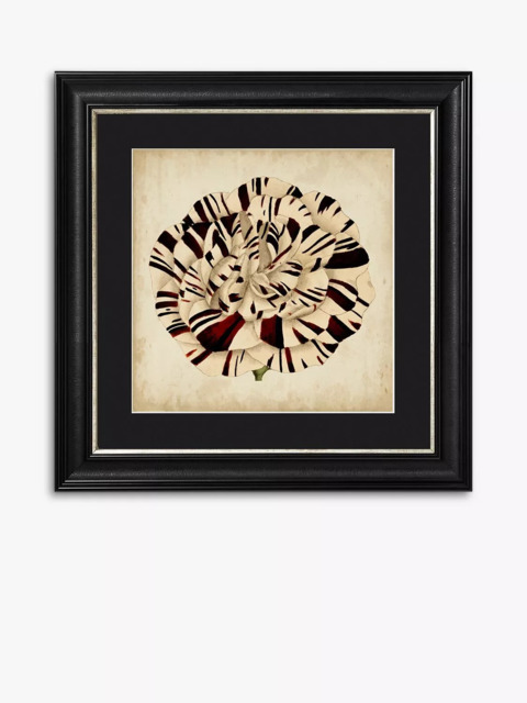 Pop Floral V Framed Print & Mount, 56 x 56cm, Black/White
