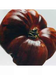 LOEWE Tomato Leaves Scented Candle - thumbnail 3
