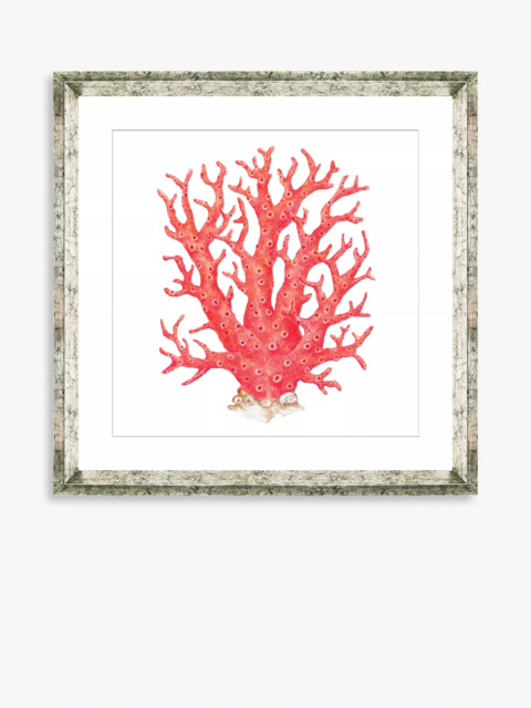 Brookpace Lascelles 'Red Coral 9' Framed Print & Mount, 46 x 46cm, Red - image 1