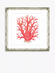Brookpace Lascelles 'Red Coral 9' Framed Print & Mount, 46 x 46cm, Red - thumbnail 1