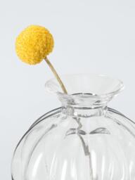 John Lewis Gourd Wide Glass Bud Vase, H8.5cm, Clear - thumbnail 3