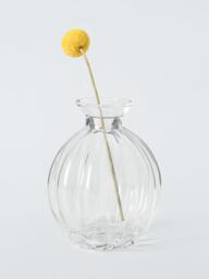 John Lewis Gourd Glass Bud Vase, H10.7cm, Clear - thumbnail 2