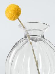 John Lewis Gourd Glass Bud Vase, H10.7cm, Clear - thumbnail 3