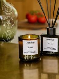 Osmology by Aery Utility Cedar Scented Candle, 200g - thumbnail 3