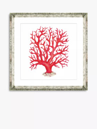 Brookpace Lascelles 'Red Coral 2' Framed Print & Mount, 46 x 46cm, Red - thumbnail 1