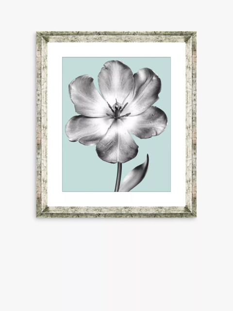 Brookpace Lascelles 'Tulip on Blue 1' Framed Print & Mount, 46 x 36cm, Blue - image 1