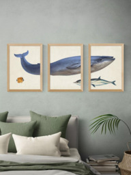 EAST END PRINTS Natural History Museum 'Whale' Framed Print, Set of 3 - thumbnail 2