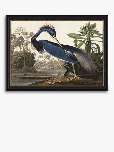 John Lewis John James Audubon 'Louisiana Heron' Framed Print, 57 x 77cm - image 1