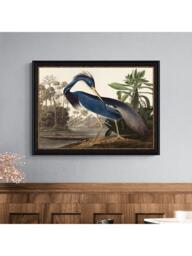 John Lewis John James Audubon 'Louisiana Heron' Framed Print, 57 x 77cm - thumbnail 2