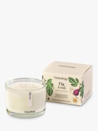 Osmology by Aery Fig Leaf Three Wick Scented Candle, 1.1kg
