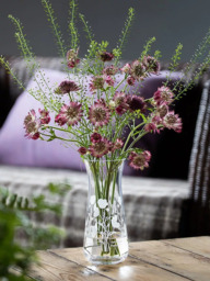 Dartington Crystal Bloom Poppy Vase, H18cm, Clear - thumbnail 3