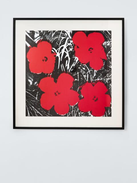 John Lewis Andy Warhol 'Flowers 1964' Framed Print & Mount, 103 x 103cm, Red - image 1