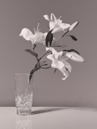Waterford Crystal Cut Glass Lismore Vase, H20cm - thumbnail 4