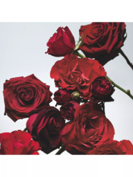 Jo Malone London Red Roses Classic Candle, 200g - thumbnail 3