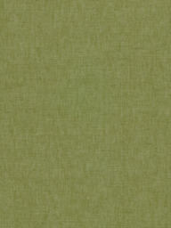 Clarke & Clarke Paradiso Made to Measure Curtains or Roman Blind, Palm - thumbnail 1