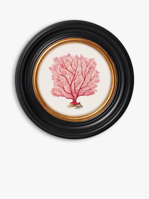 Brookpace Lascelles 'Sea Flame' Round Framed Print, 36cm, Red - image 1