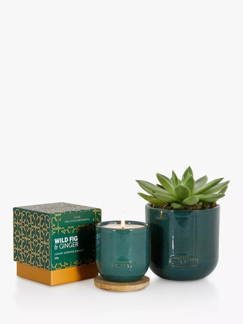 The Little Botanical Forever Green Candle Gift Set - image 1