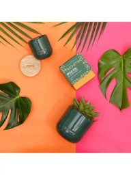 The Little Botanical Forever Green Candle Gift Set - thumbnail 3