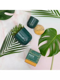 The Little Botanical Forever Green Candle Gift Set - thumbnail 2