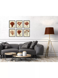 John Lewis 'Red Coral' Framed Print & Mount, Set of 6, 32 x 26cm, Red - thumbnail 2